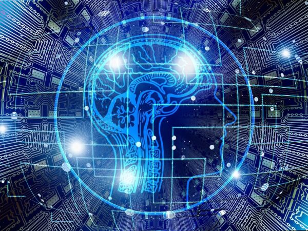 ai, seo